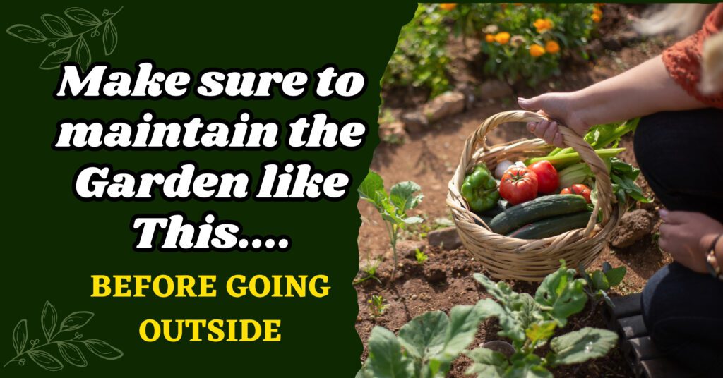 Before going outside make sure to maintain the garden like this